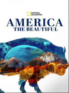 America the Beautiful