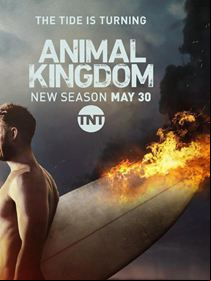 Animal Kingdom Saison 2
