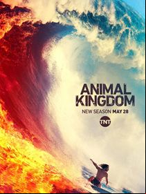 Animal Kingdom Saison 4