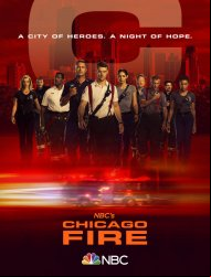 Chicago Fire Saison 8