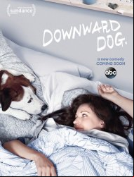 Downward Dog