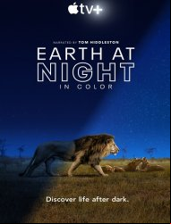 Earth At Night In Color