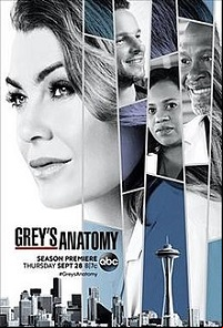 Grey's Anatomy Saison 14