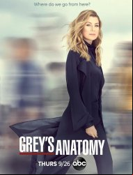 Grey's Anatomy Saison 16