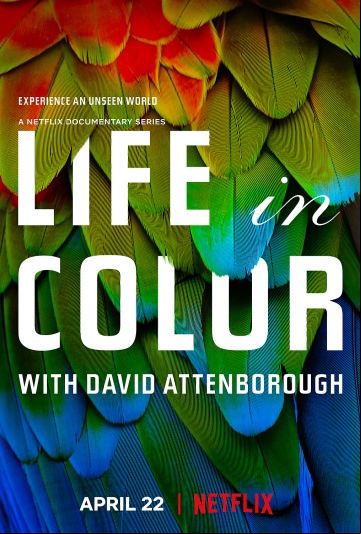 La Vie en couleurs avec David Attenborough Saison 1