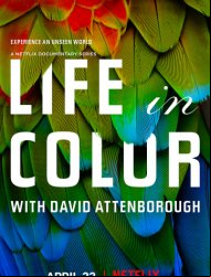 La Vie en couleurs avec David Attenborough