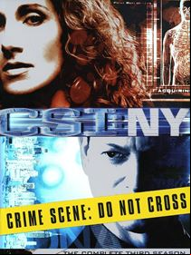 Les Experts : Manhattan Saison 3