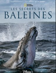 Les Secrets des baleines