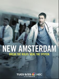 New Amsterdam Saison 5