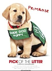 Pick of the Litter
