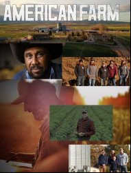 The American Farm