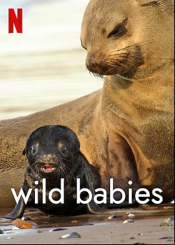 Wild Babies : Petits et Sauvages